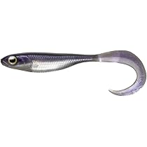 フィッシュアロー Fish Arrow フィッシュアロー フラッシュJ 1インチ SW 100